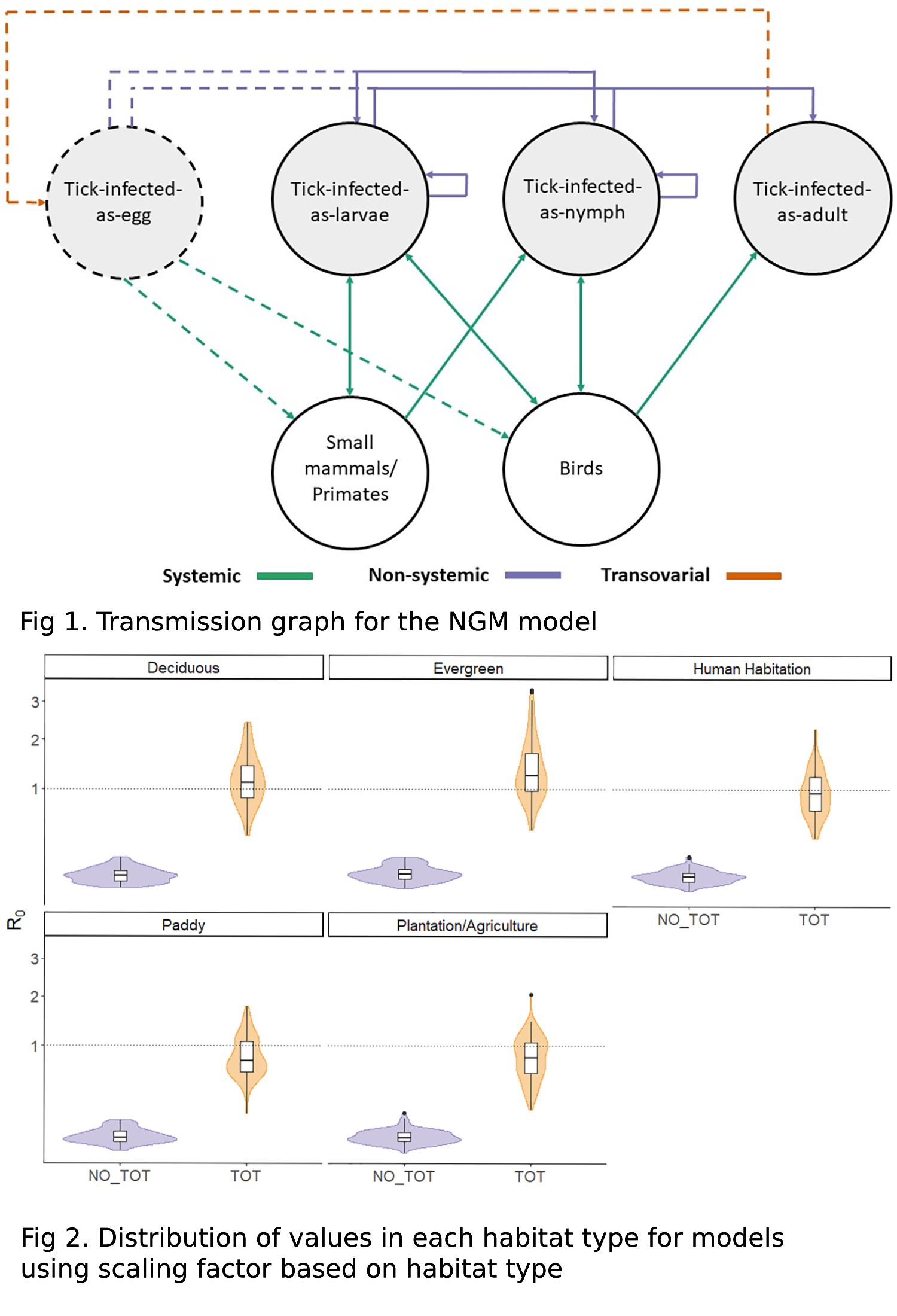 Graphs from mechanistic models paper
