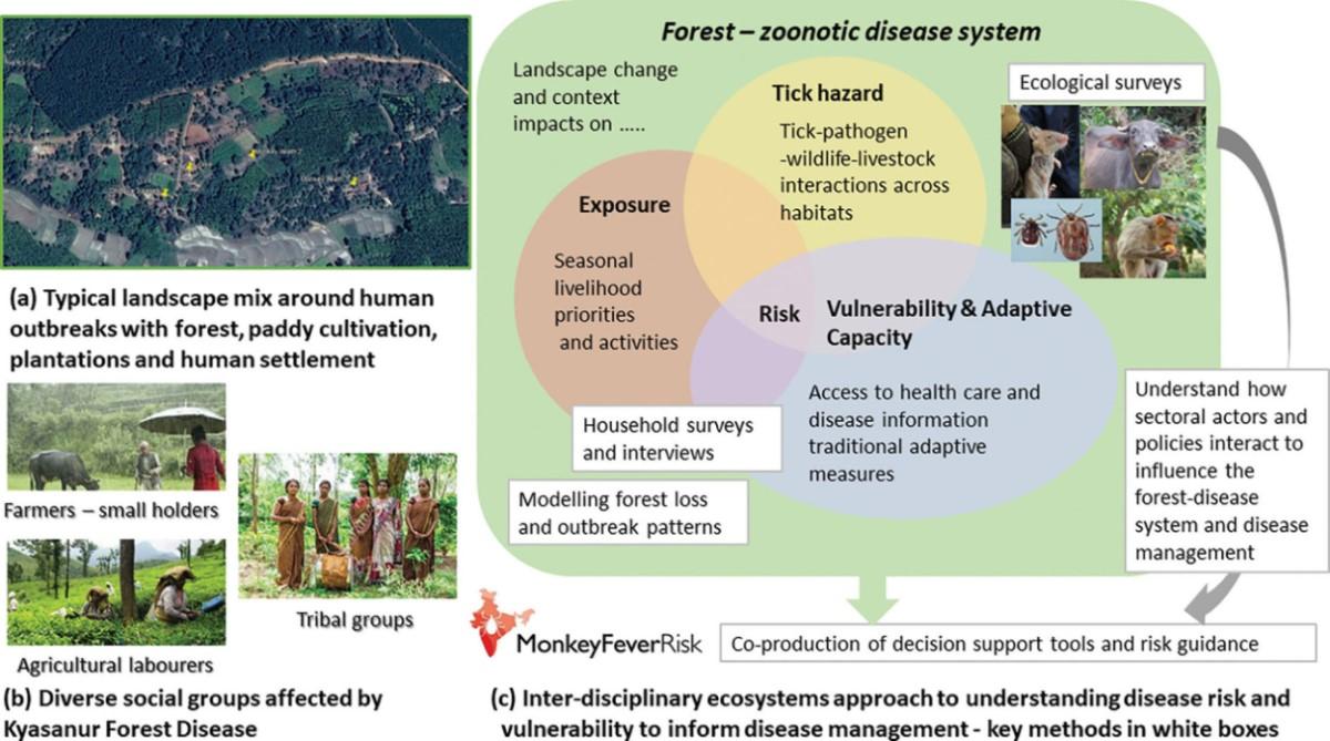 Figure 1. Key components of the MonkeyFeverRisk ecosystem approach to understanding and mitigating Kyasanur Forest Disease in degraded forests in south India.