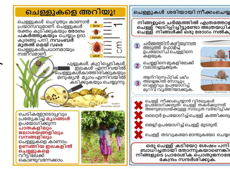 Malayalam Tick Info Cards