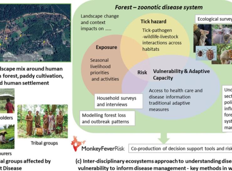 Figure 1. Key components of the MonkeyFeverRisk ecosystem approach to understanding and mitigating Kyasanur Forest Disease in degraded forests in south India.