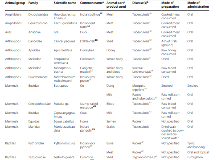  Reported zoo-therapeutic use of animal species